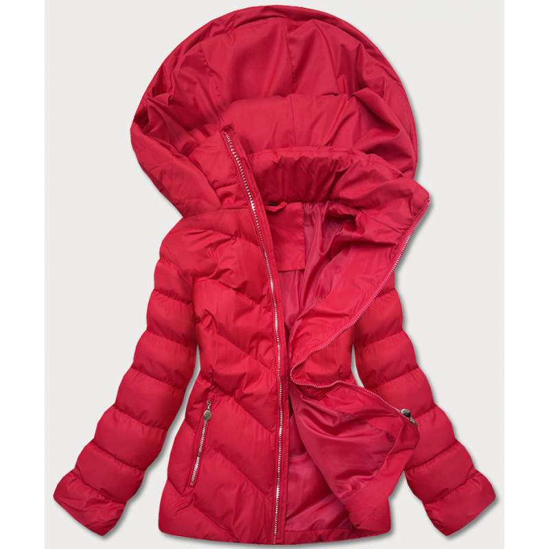 WINTER JACKET WITH MEMBRANE MINT (W182) striukė