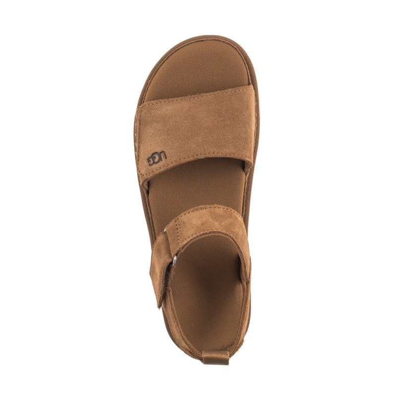 UGG W Goldenstar 1136783 CHE (UA107-b) kingad