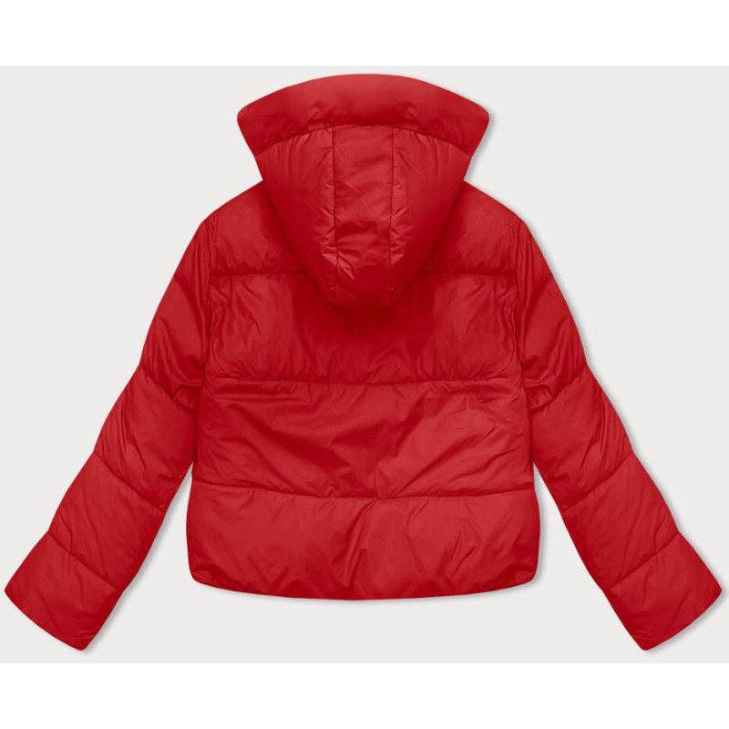 WINTER JACKET WITH MEMBRANE MINT (W182) striukė