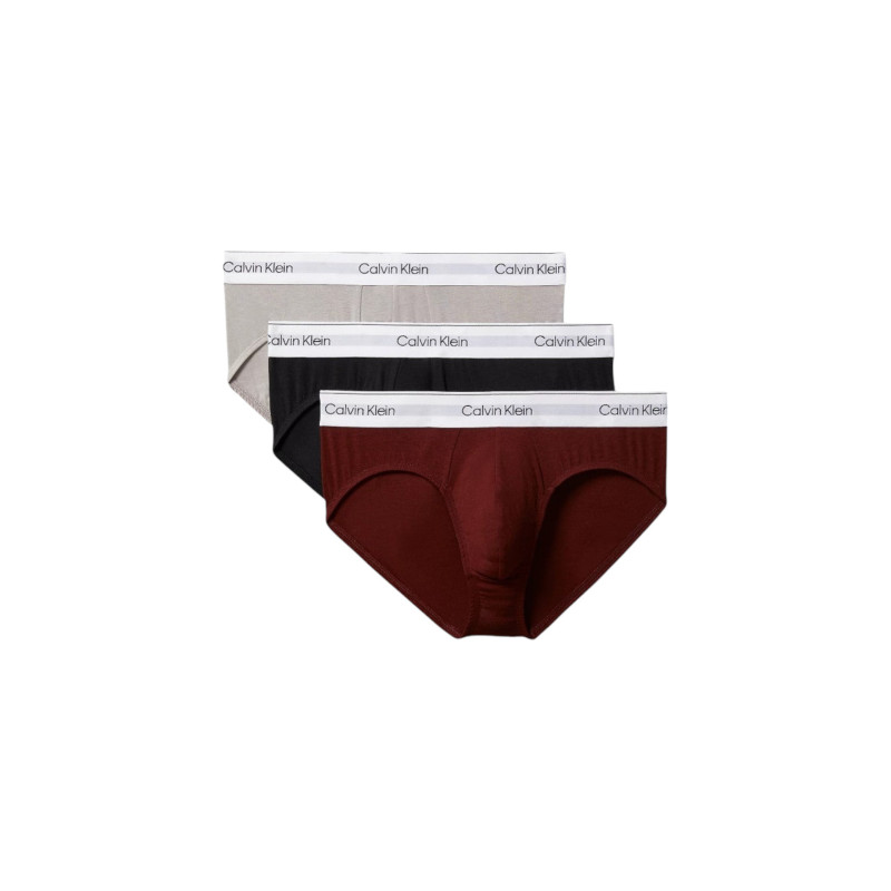 Calvin Klein Underwear Aluspesu 000NB3962A Bordeaux