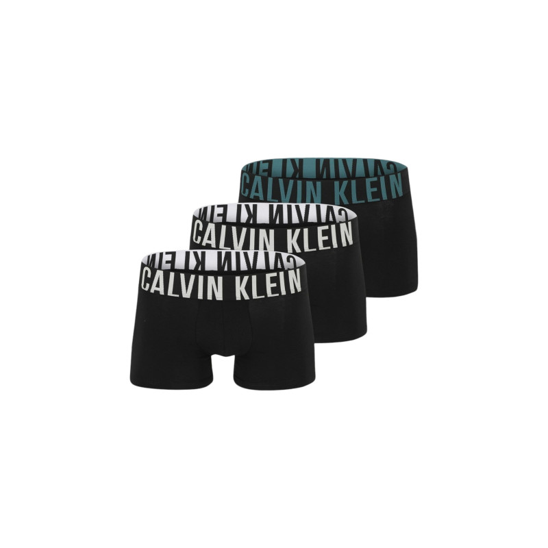 Calvin Klein Underwear Aluspesu 000NB3608A Black