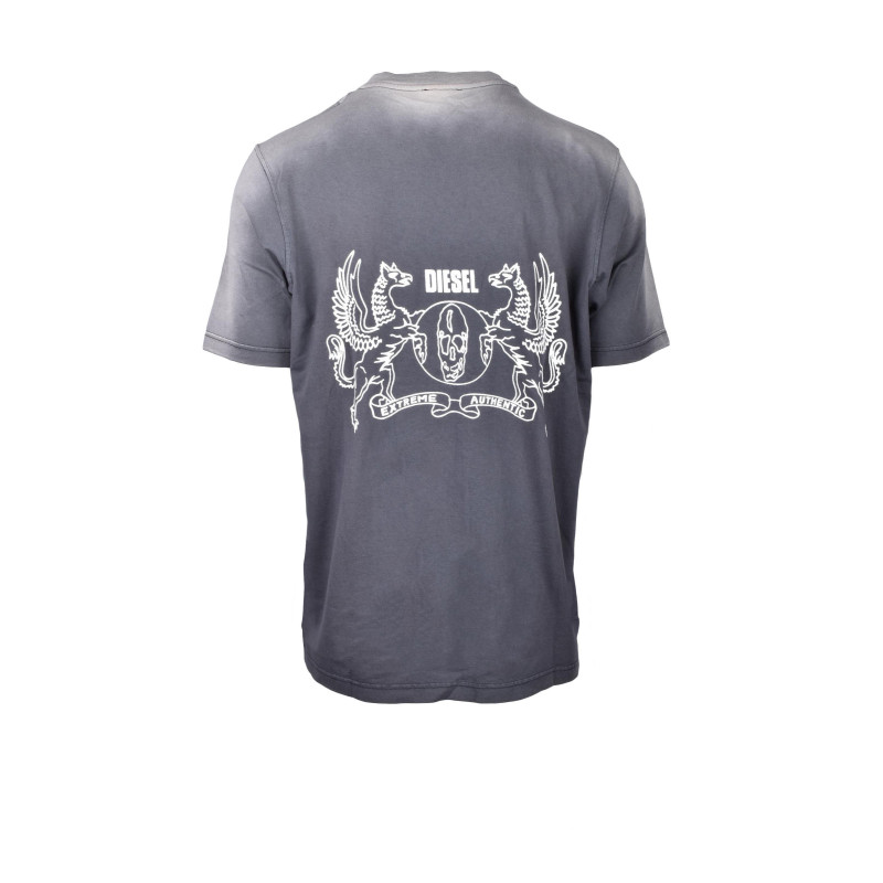 Diesel T-shirts DIETSHUAAF1ST0726485 29 Grey