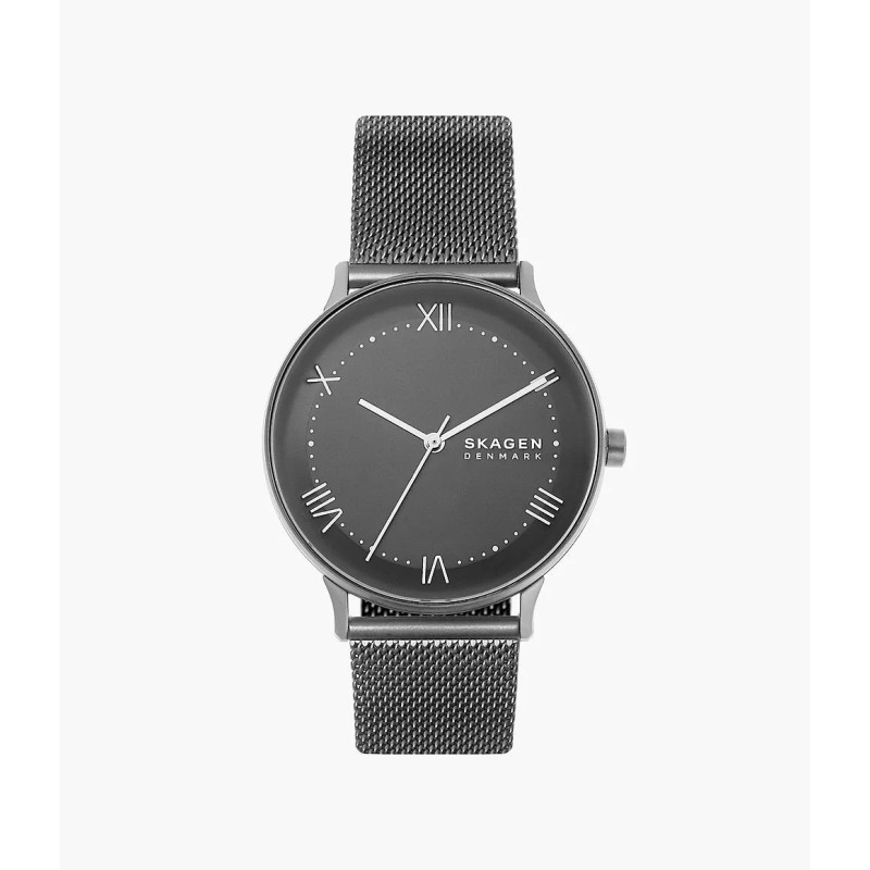 Skagen vaata SKW6624