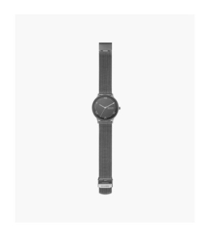 Skagen vaata SKW6624